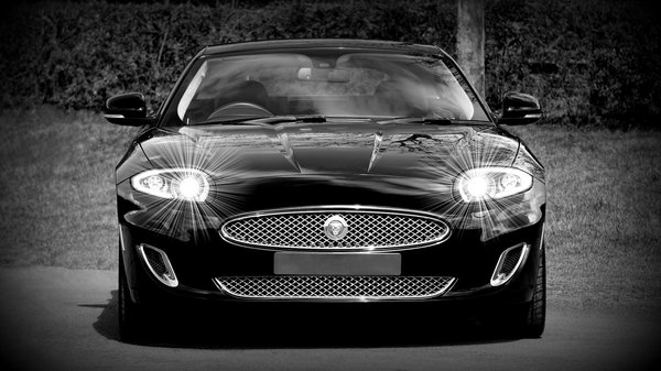 Integrating Bold Colors at Work?